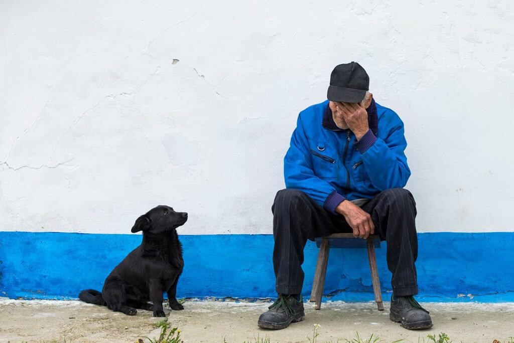 Predrag Mijailovic ()