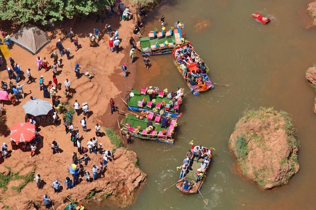 Predrag Mijailovic ()