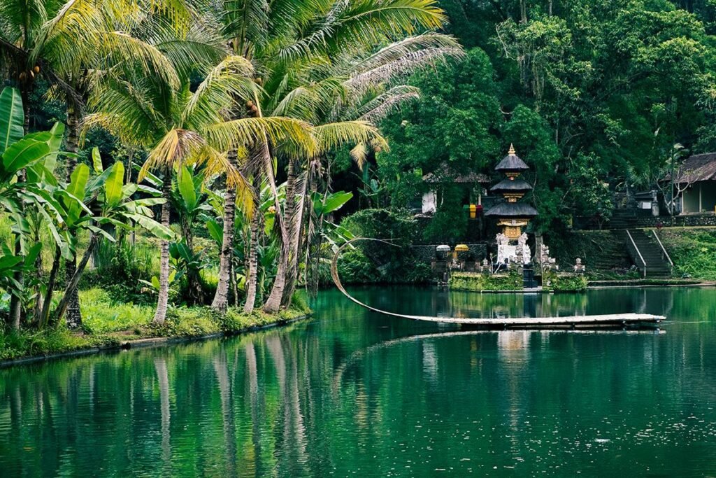 Predrag Mijailovic ()