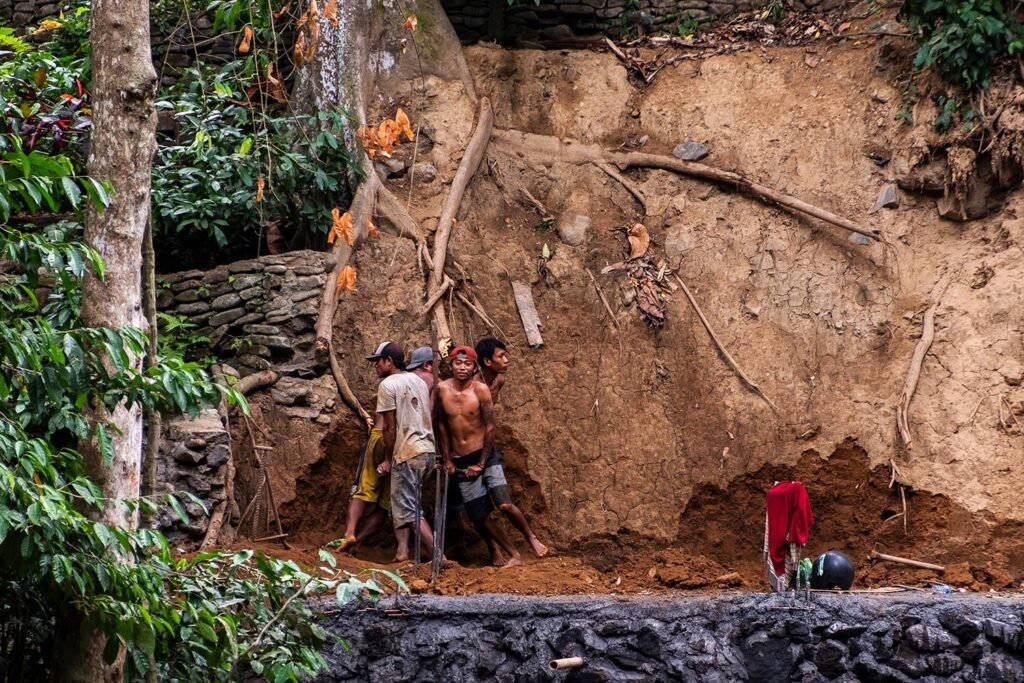 Predrag Mijailovic ()