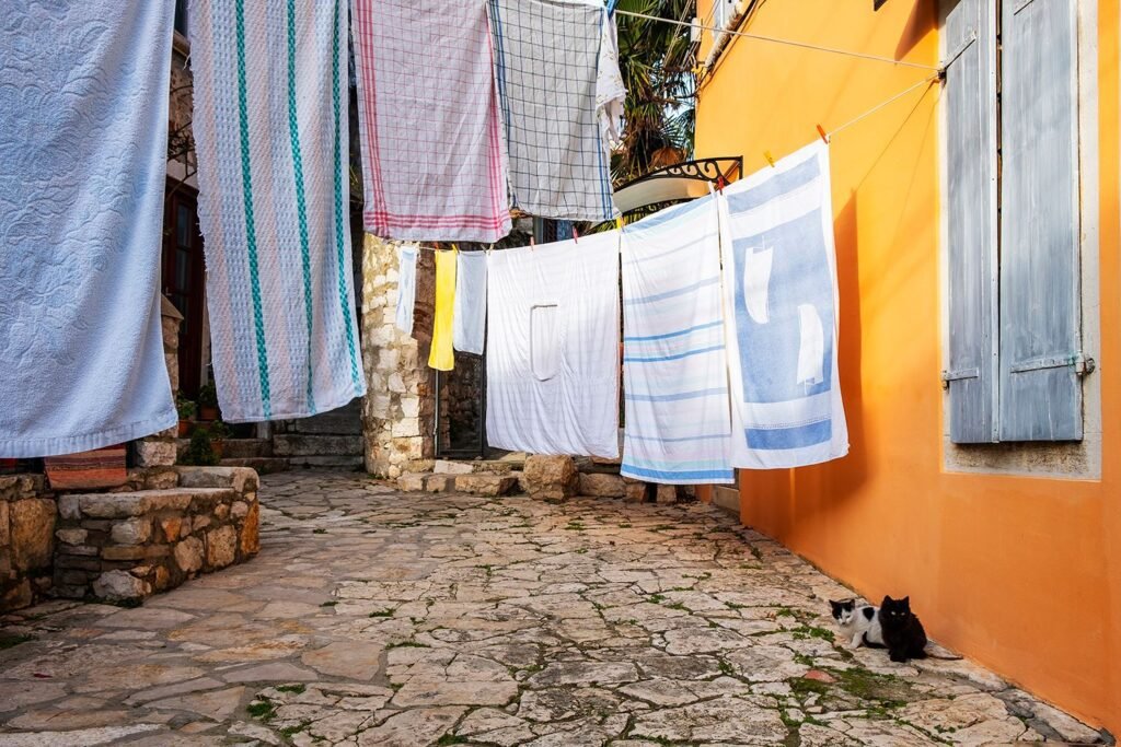 Predrag Mijailovic ()