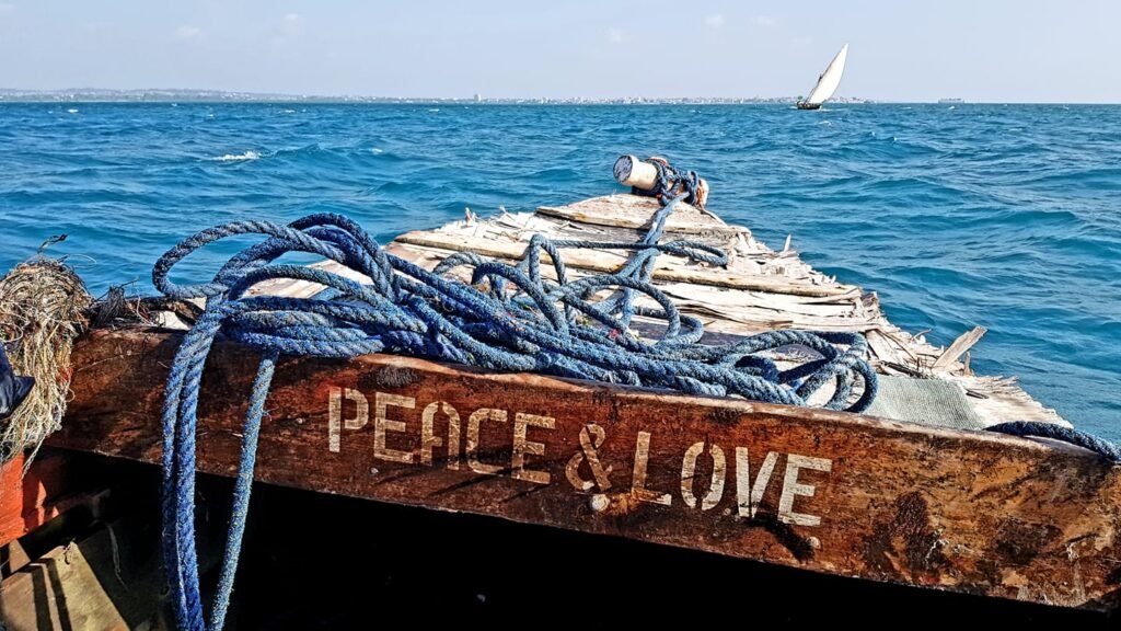 Predrag Mijailovic ()