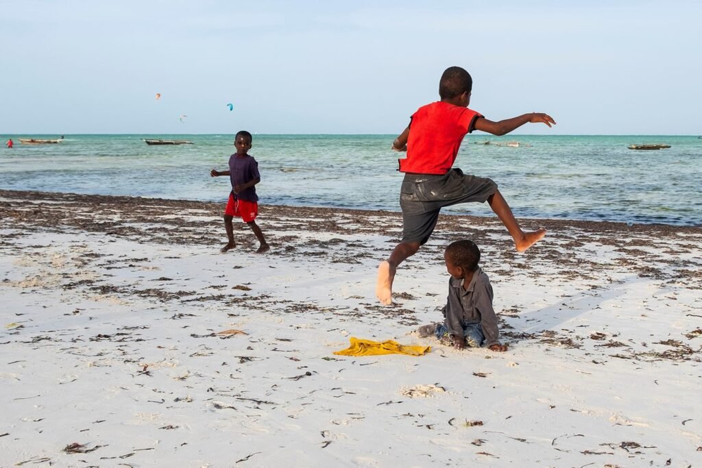 Predrag Mijailovic ()